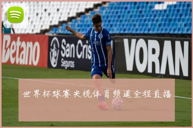 世界杯球赛央视体育频道全程直播